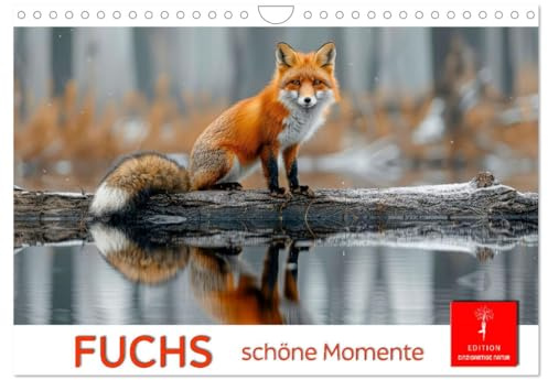 Fuchs - schöne Momente (Wandkalender 2026 DIN A4 quer), CALVENDO Monatskalender: Die Welt der Füchse in der freien Natur. (CALVENDO Tiere)