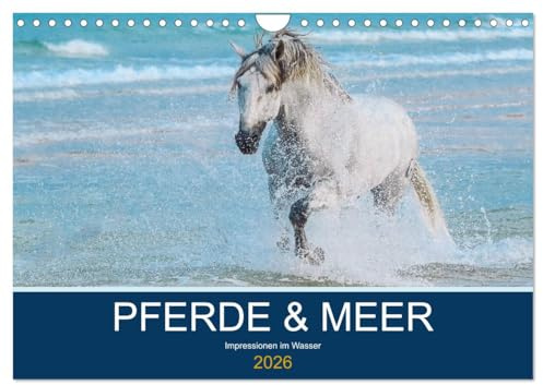 PFERDE & MEER (Wandkalender 2026 DIN A4 quer), CALVENDO Monatskalender: Pferde im Atlantik - eine Faszination der besonderen Art ... (CALVENDO Tiere)