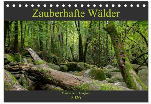 Zauberwelt Wald (Tischkalender 2026 DIN A5 quer), CALVENDO Monatskalender: Zauberhafte Wälder Mitteleuropas (CALVENDO Natur)