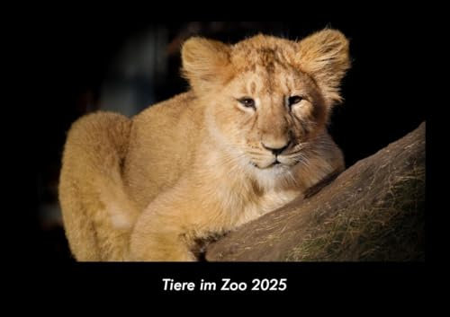 Tiere im Zoo 2025 Fotokalender DIN A3: Monatskalender mit Bild-Motiven von Haustieren, Bauernhof, wilden Tieren und Raubtieren