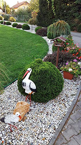 4myBaby GmbH Best for Garden Flusskiesel umweltfreundlich Kies Splitt Natur bunt für Beete, Wege & Gartenteiche Zierkies 10 kg-500 kg zur Auswahl (25)