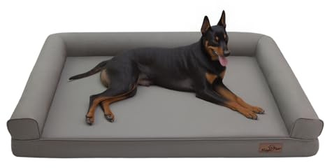 BingoPaw XXL Orthopädisches Haustierbett 135 x 100 cm Hundebett mit Erhöhten Seitenwänden, 12 cm Höhe, Hundesofa für große oder 2 Hunde, Grau