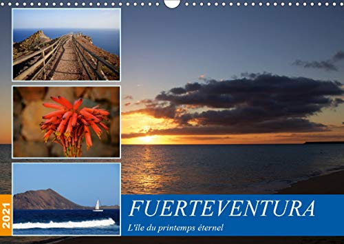 Fuerteventura, l'île du printemps éternel (Calendrier mural 2021 DIN A3 horizontal): Découvrez l'île du printemps éternel : Fuerteventura (Calendrier mensuel, 14 Pages )