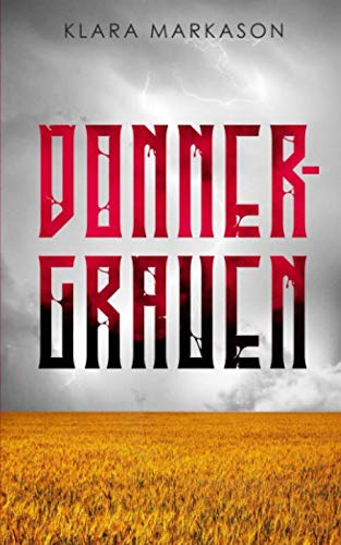 Donnergrauen: Diskretes Password Buch | Passwörter geheim verwalten | Passwort Organizer getarnt als Belletristik Buch