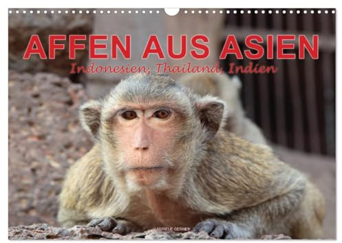 AFFEN AUS ASIEN Indonesien, Thailand, Indien (Wandkalender 2026 DIN A3 quer), CALVENDO Monatskalender: Erleben Sie die faszinierende Welt der ... Affenwald von Ubud auf Bali. (CALVENDO Tiere)