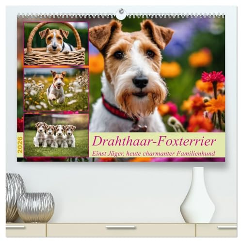 Drahthaar-Foxterrier (hochwertiger Premium Wandkalender 2026 DIN A2 quer), Kunstdruck in Hochglanz: Einst Jäger, heute charmante Familienhunde (CALVENDO Tiere)
