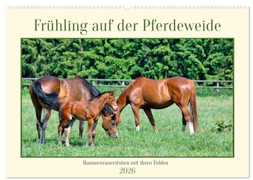 Frühling auf der Pferdeweide (Wandkalender 2026 DIN A2 quer), CALVENDO Monatskalender: Die eleganten Hannoveranerstuten präsentieren hier stolz ihre Jungtiere (CALVENDO Tiere)
