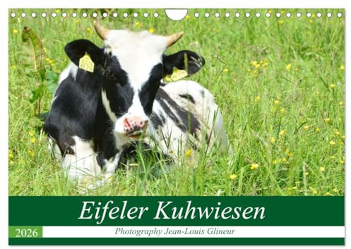 Eifeler Kuhwiesen (Wandkalender 2026 DIN A4 quer), CALVENDO Monatskalender: Glückliche Kühe, Kälber und Rinder (CALVENDO Tiere)