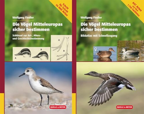 Die Vögel Mitteleuropas sicher bestimmen: Art – Alter - Geschlecht: Schritt für Schritt zur richtigen Arterkennung