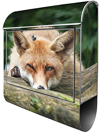 banjado® Design Briefkasten mit Fuchs Relax 38,5x46,5x13cm & 2 Schlüssel - Briefkasten Stahl Silber mit Zeitungsfach pulverbeschichtet - Postkasten A4 Einwurf inkl. Montagematerial