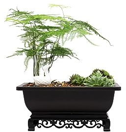 Cotta Planters Bonsai-Topf – 22,9 cm großer Trainingstopf mit elegantem Ständer – antikbraune Töpfe mit Netzablauf – luxuriöse Baumtöpfe für den Innenbereich aus recyceltem Kunststoff