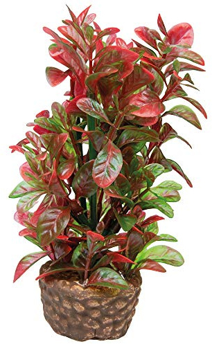 Hobby Aquaristik Kunstpflanze Flora Stone 4 I Täuschend echt aussehend I 4 x 13 cm