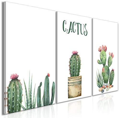 decomonkey Bilder Natur 120x60 cm 3 Teilig Wandbild Groß Leinwandbild XXL Deko Wohnzimmer Schlafzimmer Büro Wanddeko Leinwand Pictures For Wall Poster Wall Painting Kaktus Blumen