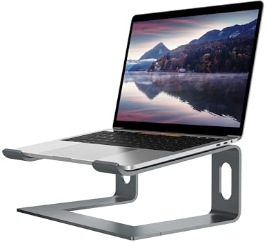 ALASHI Laptop-Ständer für Schreibtisch, Aluminium-Computer-Erhöhung, ergonomischer Notebook-Halter, Abnehmbarer Metall-Laptop-Laptop-Ständer, unterstützt 10 bis 15.6 Zoll Notebook, grau