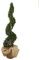 KENTIS - Cupressocyparis Leylandii Castlewellan Gold con Decorazione Vaso in Juta - Cipresso a Spirale - Piante Vere da Esterno - H 90/110 cm Vaso Ø 24 cm
