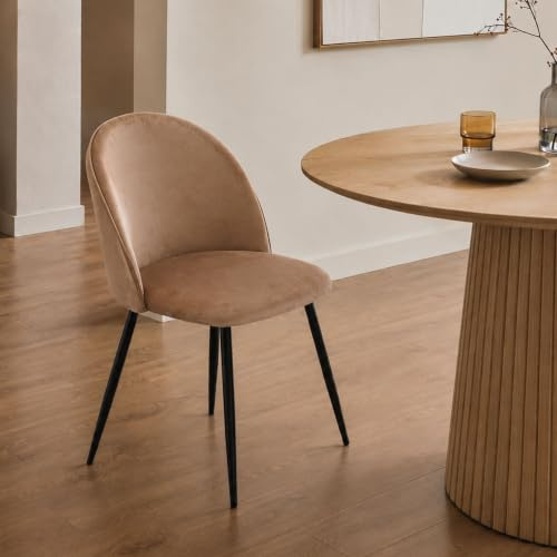Dmora - Stuhl Stinson, Sessel mit Samtbezug, gepolsterter Esszimmerstuhl, Besprechungssitz, 51x54h82 cm, Sand