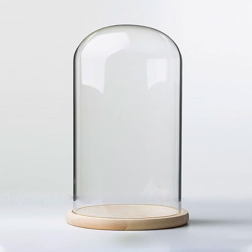 TIHONORI Dia 20 Cm Glass Cloche Dome Display with Solid Wood Base for Displaying Plants, Ornaments, Figurines,20 * 30cm