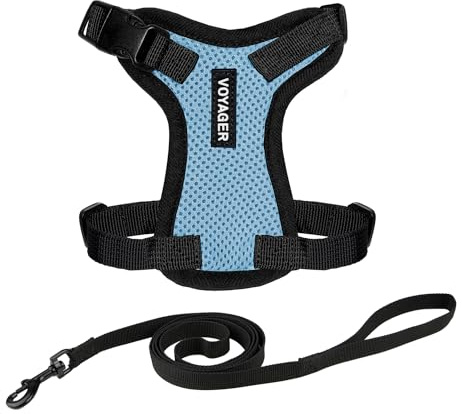 Voyager Step-in Lock Katzengeschirr und reflektierende Katzenleine mit Neoprengriff by Best Pet Supplies - Unterstützt kleine, mittlereund große Katzenrassen, Babyblau / Schwarzer Rand, size XXXS