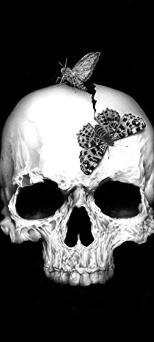 Bilderdepot24 stickerdecal