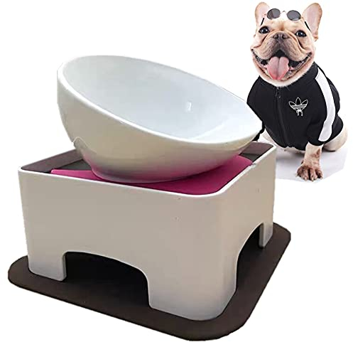Bulldog Gamelle antidérapante pour chien et chat - Amovible - Stérile - Inclinable - Base inclinée - Blanc (céramique), 1,5 tasse (chien de taille S/M )