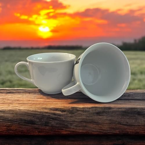Set di 2 ciotole per la colazione Ciotole da zuppa in ceramica Tazza da caffè grande, tazze da zuppa con manico adatto per forno a microonde e lavastoviglie per cereali dessert insalata tè latte 550ml