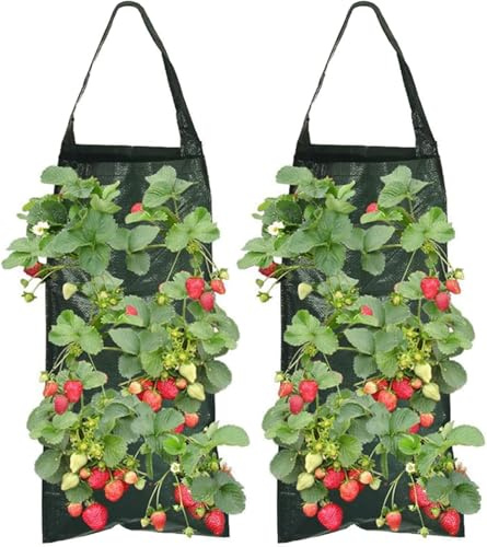 YUZHEDM 2 Stück Erdbeer Pflanzsack Hängend Vertikaler Garten Vertikal Pflanztasche, Erdbeeren Pflanzen Pflanzsäcke für Draussen, Pflanzbeutel Hängend mit 8 Löchern für Erdbeer Tomaten Kräuter Gemüse