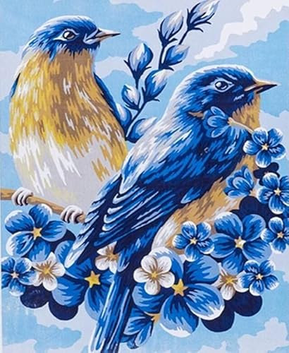 TOCAVE Malen nach Zahlen Ölgemälde nach Zahlen DIY Kit Vögel Tiere Canvas Zahlen Handgemalte Acryl Malerei Canvas Home Dekoration 40x50cm