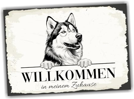 siviwonder Hundeschild Willkommen Zuhause Husky Siberian No.2 Dog Schild Spruch Türschild Warnschild Geschenkidee schöner Spruch Hundemotiv Aluminium Wetterfestes Hundeschild