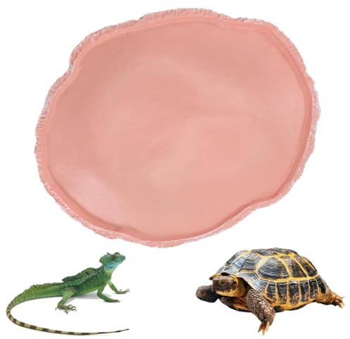 Reccisokz 1 Article Bol D'Alimentation Pour Reptiles,Abreuvoir tortue terrestre, Bol à Boire Pour Maison De Tortue, Bol D'Eau Pour Reptiles Pour Tortues, LéZards,Hamsters,accessoire tortue terrestre
