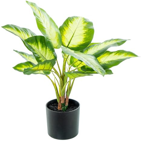 Alexandra House Living Planta Decorativa Plástico Aglaonema 50 cm
