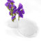 alladaga 2 Stücke Blumensteckiggel Blume Frosch Klar Kunststoff Rund Blume Halterung für Arrangements, Größe 7 cm
