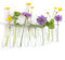 comforder 12 reagenzgläser für Blumen zum aufhängen, Reagenzglas Vase mit Rand zum aufhängen, Fensterdeko hängend, Vase Glas, Hochzeitsdeko Blumen (15 cm)