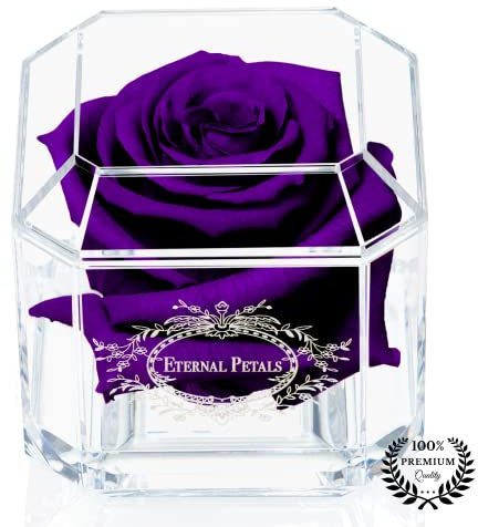 A 100% Real Rose That Lasts Years - Eternal Petals, Handmade in UK – White Gold Solo (Purple)
