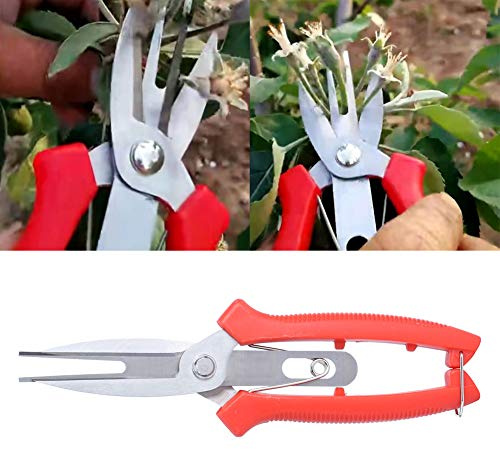 Gartenschere für Blumen, Lange, Gerade, Spitze Doppelschere, Gartenschere aus Edelstahl, Obstbaumschere