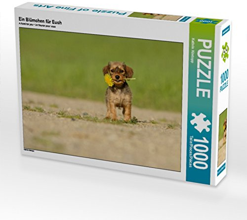 CALVENDO Puzzle EIN Blümchen für Euch | 1000 Teile Lege-Größe 64 x 48 cm Foto-Puzzle für glückliche Stunden