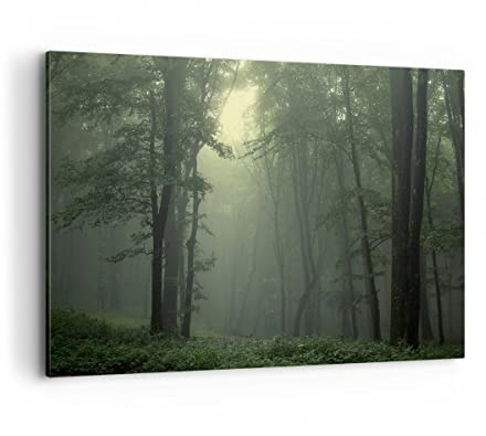 ARTTOR Leinwandbild 100x70cm Wandbild Wald Natur - 3543 | Nebel Baum Groß Wanddekoration Wohnzimmer Schlafzimmer Küche Wanddeko Wand Kunstdruck Wandkunst Wall Decor ARTTOR