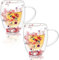 GeeWaa Lot de 2 tasses à café isolées créatives avec poignée et cuillère en verre à double paroi avec fleur séchée pour boissons chaudes et froides, thé, cappuccino, latte, expresso, jus de café 350