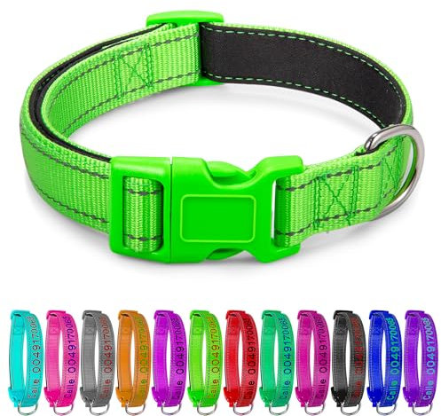 Hundehalsband, Reflektierend Halsband aus Nylon mit Weichem Neopren Polsterung einstellbar Hundehalsbänder Personalisiertes Hundehalsbänder (Besticktes Halsband)