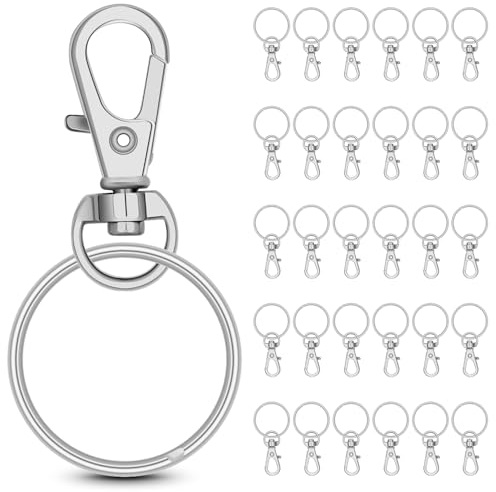 30 Sets Metal Swivel Clasp Hook with Key Rings,Mini Lobster Claw Clasps with Keychain for DIY Crafts,DIY Jewelry Making,Key Chain Making Kit,Silver