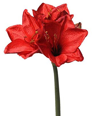 artplants.de Künstliche Amaryllis, rot, 55cm - Seidenblume - Textilblume