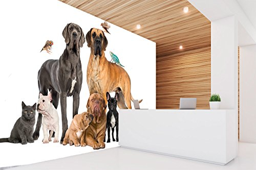 Fototapete Vinyl Wand Hunde Rassen | Fototapete Wände | Wandbild | Wandtattoo | Verschiedene Maße 600 x 300 cm | Tierärzte | Dekoration Esszimmer Wohnzimmer Schlafzimmer ...