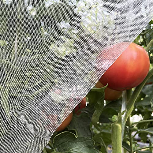 Gartennetz, 3 x 84 cm, ultrafeine Insektenabdeckung, hält Bäume, Gemüse, Früchte vor Zikaden, Moskitonetz für Terrassenkulturen, Blumen, Schutz, Zikaden-Insektennetz (weiß)