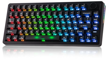 EPOMAKER HE75 V2 Hall Effect Gaming Keyboard, 8K Polling & 0.1ms, 8000mAh & 2.4Ghz/BT, Hot Swap Key & Knob, 0.005mm Adjustable Actuation, Rapid Triggering, Creamy & Thocky (Black)