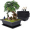 Moollyfox Bonsai Schale mit Untersetzer, 6 Stücke Bonsai Topf aus Kunststoff, 23x17x8cm Blumentopf Rechteckig Set, Plastik Bonsaischale Eckig mit Tablett und Mini Gartenwerkzeug Set