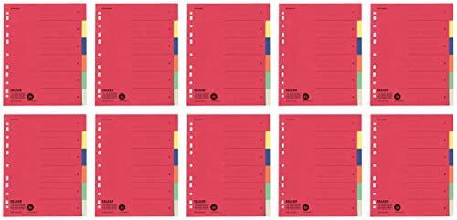 Falken Karton-Register für DIN A4 24 x 29,7 cm volle Höhe mit Organisationsdruck (6-teilig | 10er Pack)