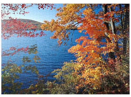 MyPuzzle Blick auf den Lake Waramaug im Indian Summer, Connecticut, USA - Premium 1000 Teile Puzzle - MyPuzzle Sonderkollektion von Puzzle Galaxy