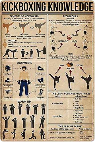 Kickboxen Wissen Metallschild Aluminium Poster Übung Basic Infografik Poster Kampfsport Fitnessstudio Club Zuhause Schlafzimmer Schule Bildung Wanddekoration Plakette 12 x 16 Zoll