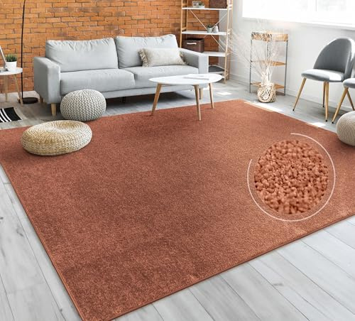 Paco Home Teppich Wohnzimmer Schlafzimmer Esszimmer Kurzflor Moderne Optik Einfarbig Pastell, Grösse:80x250 cm, Farbe:Kupfer