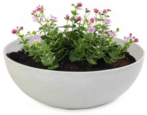 matches21 Pflanzschale für draußen - Vintage Dekoschale beige-grau marmoriert als Blumentopf Pflanztopf - Schale in 20 x 7,5 cm als Garten Vogeltränke Balkon-Deko oder Friedhof Grabschale