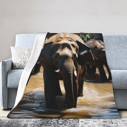 Überwurfdecke, 101,6 x 76,2 cm, wendbare Plüschdecke, ultraweiche Micro-Fleece-Decke, Elefant, Trinkwasser, Überwurf, leicht, warm, gemütlich, für Wohnzimmer, Sofa, Couch, Bett